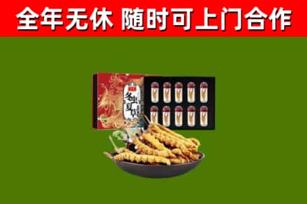 阳山回收冬虫夏草价格