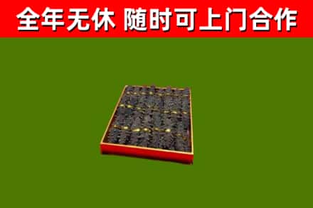 阳山回收海参